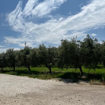Villa Il casale del Nonno Armando Torrevecchia Teatina Esterno foto