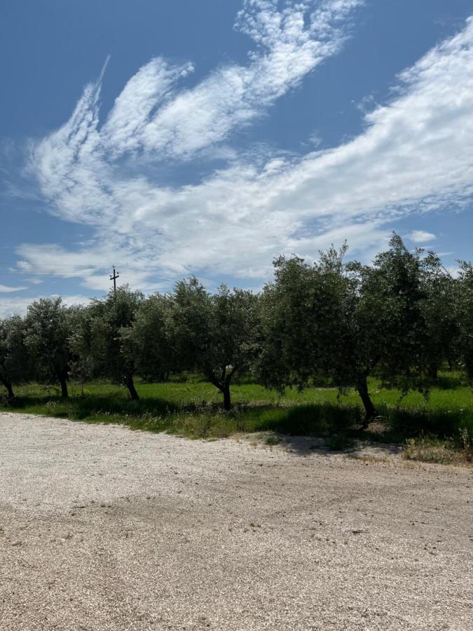 Villa Il casale del Nonno Armando Torrevecchia Teatina Esterno foto