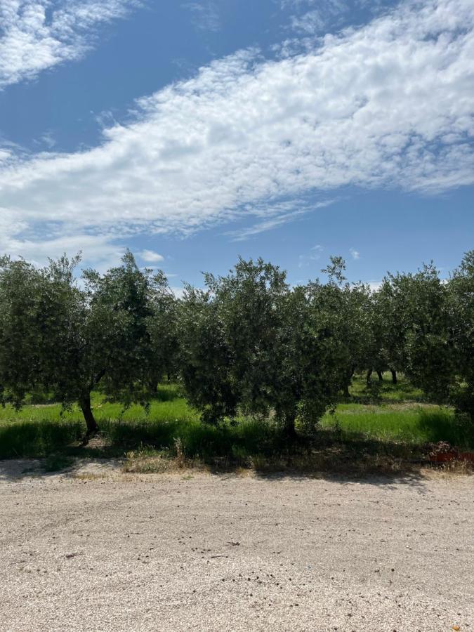 Villa Il casale del Nonno Armando Torrevecchia Teatina Esterno foto